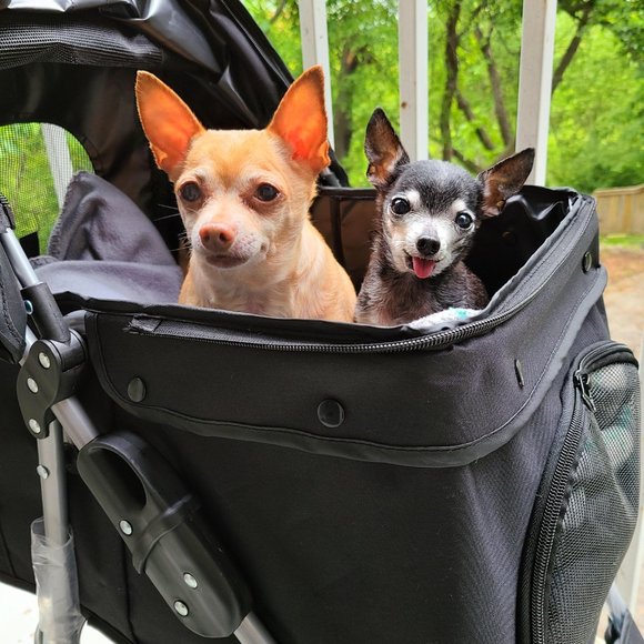 Meet your Posher, Myste - Picture 3 of 3